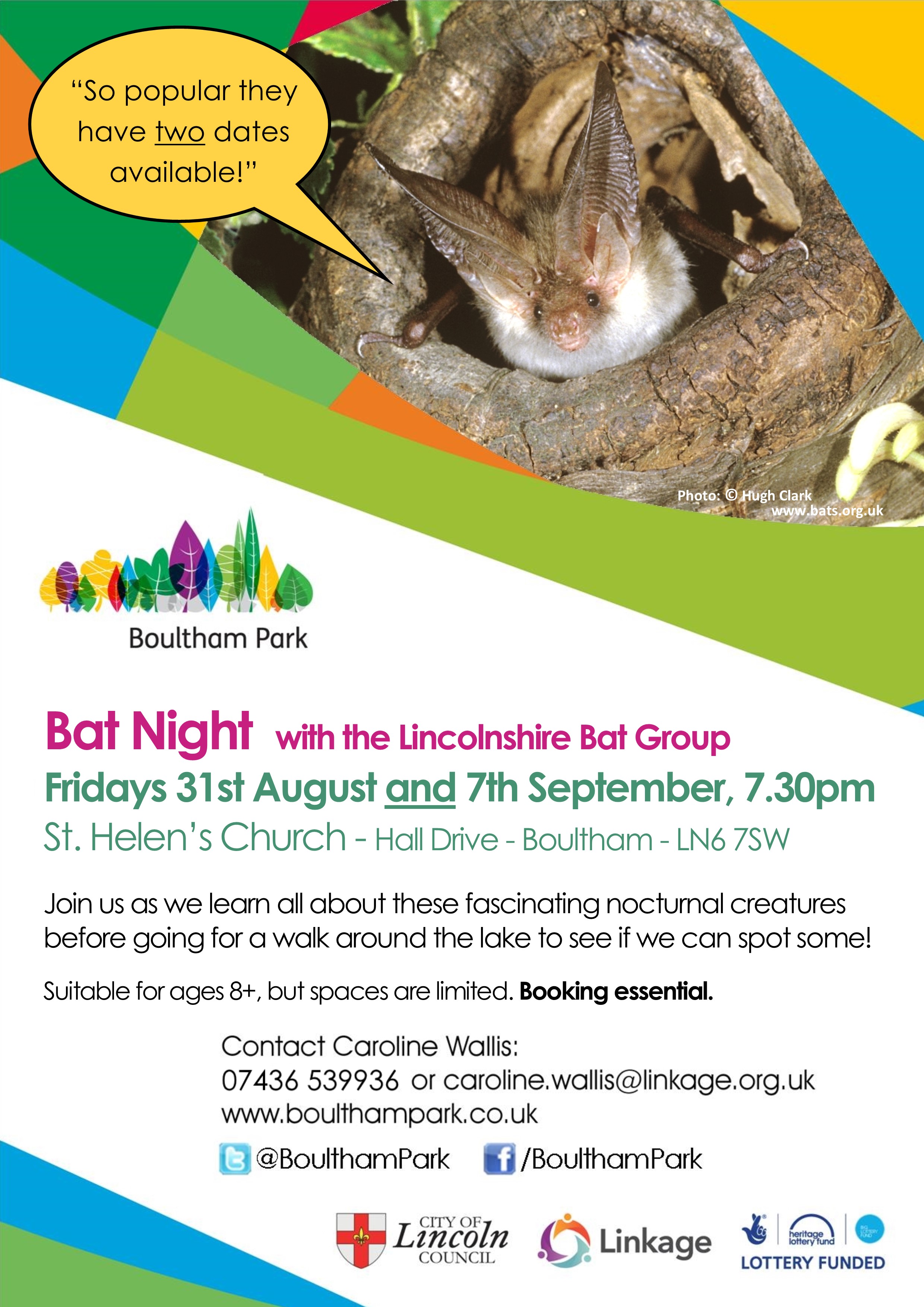 BatNightPoster2018JPG
